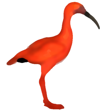 Icon of IBIS